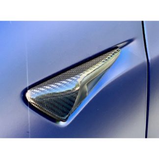 Seitenblinker Abdeckung Carbon (2 Stk)