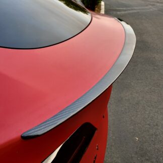 Hecklippe Echt-Carbon Performance Model Y